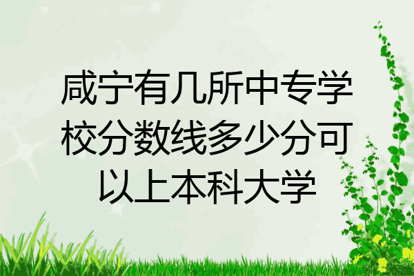 咸宁有几所中专学校分数线多少分可以上本科大学