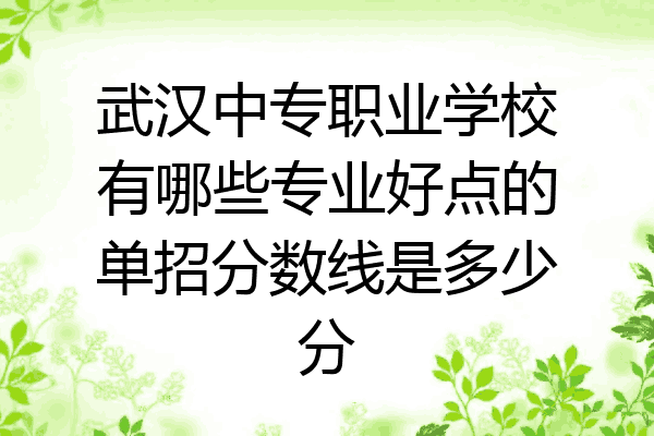 武汉中专职业学校有哪些专业好点的单招分数线是多少分