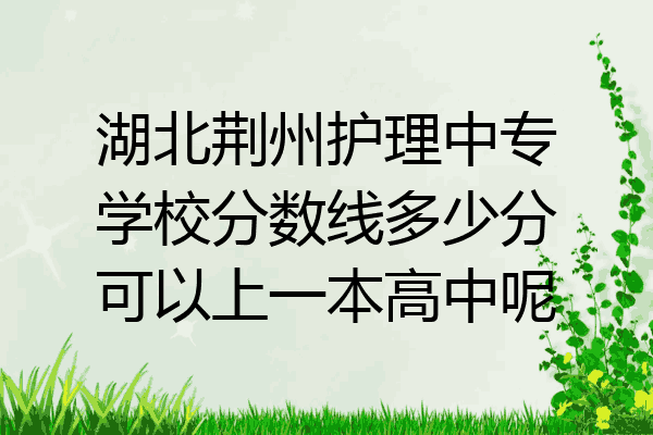 湖北荆州护理中专学校分数线多少分可以上一本高中呢