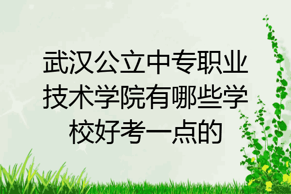 武汉公立中专职业技术学院有哪些学校好考一点的