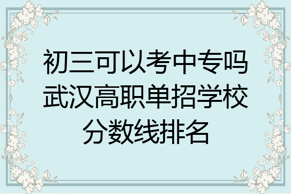初三可以考中专吗武汉高职单招学校分数线排名