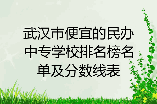 武汉市便宜的民办中专学校排名榜名单及分数线表