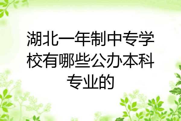 湖北一年制中专学校有哪些公办本科专业的