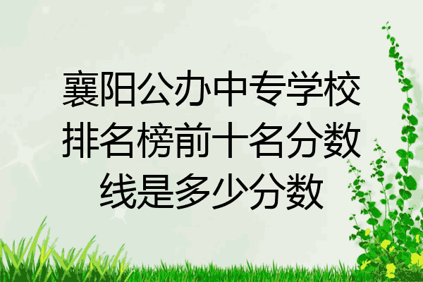 襄阳公办中专学校排名榜前十名分数线是多少分数