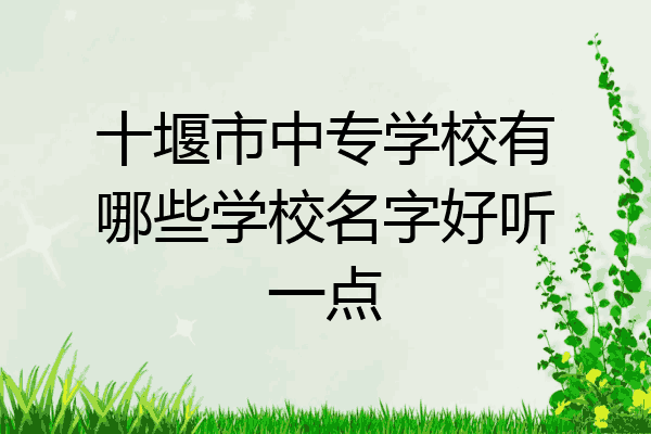 十堰市中专学校有哪些学校名字好听一点