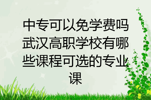 中专可以免学费吗武汉高职学校有哪些课程可选的专业课