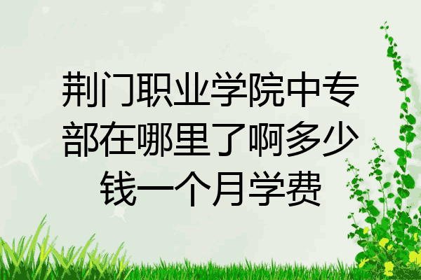 荆门职业学院中专部在哪里了啊多少钱一个月学费