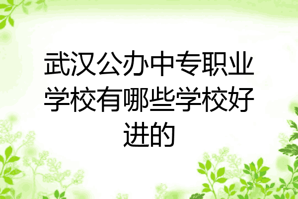 武汉公办中专职业学校有哪些学校好进的