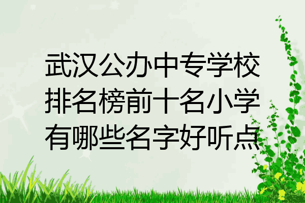 武汉公办中专学校排名榜前十名小学有哪些名字好听点