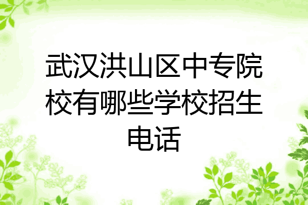 武汉洪山区中专院校有哪些学校招生电话