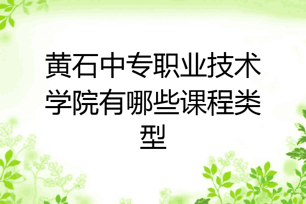 黄石中专职业技术学院有哪些课程类型