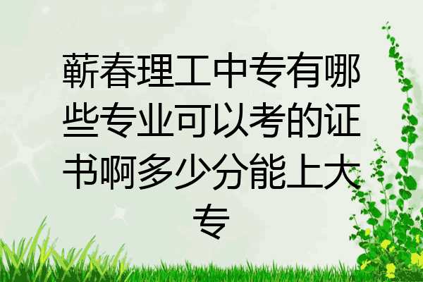 蕲春理工中专有哪些专业可以考的证书啊多少分能上大专