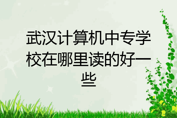 武汉计算机中专学校在哪里读的好一些