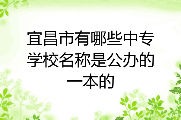 宜昌市有哪些中专学校名称是公办的一本的