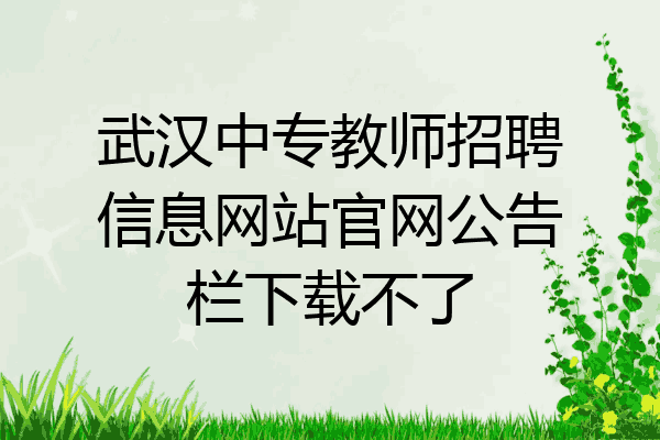 武汉中专教师招聘信息网站官网公告栏下载不了
