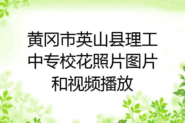 黄冈市英山县理工中专校花照片图片和视频播放