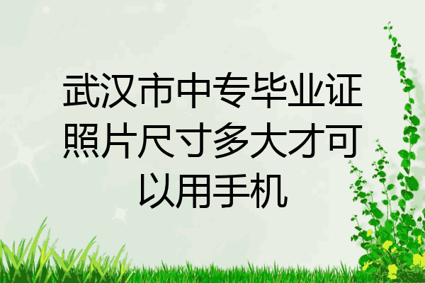 武汉市中专毕业证照片尺寸多大才可以用手机