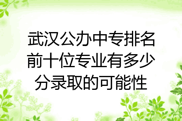 武汉公办中专排名前十位专业有多少分录取的可能性