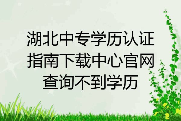 湖北中专学历认证指南下载中心官网查询不到学历