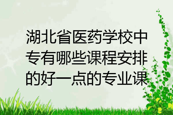 湖北省医药学校中专有哪些课程安排的好一点的专业课