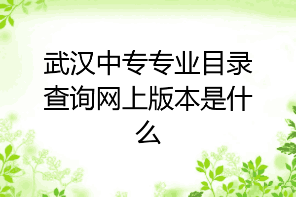 武汉中专专业目录查询网上版本是什么