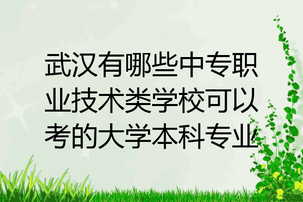 武汉有哪些中专职业技术类学校可以考的大学本科专业