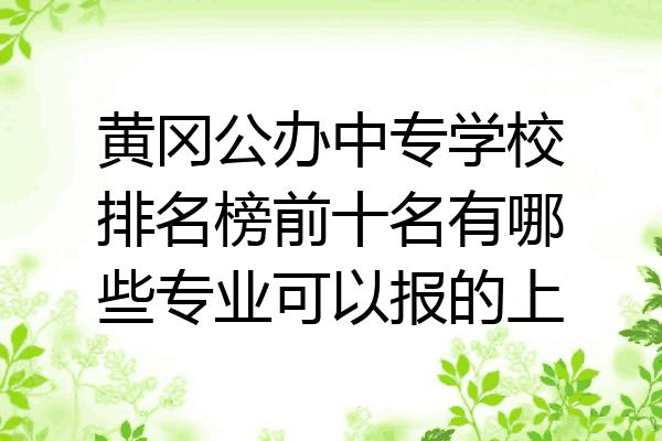 黄冈公办中专学校排名榜前十名有哪些专业可以报的上