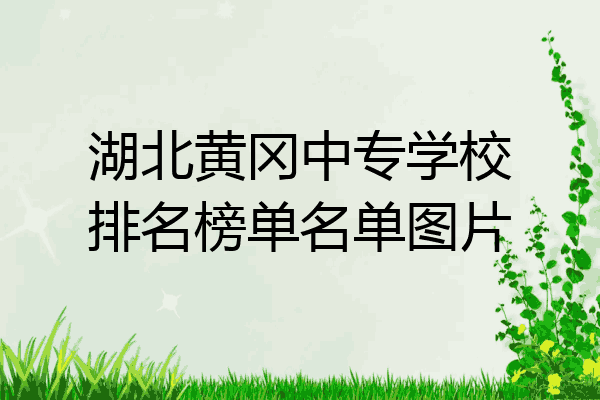 湖北黄冈中专学校排名榜单名单图片