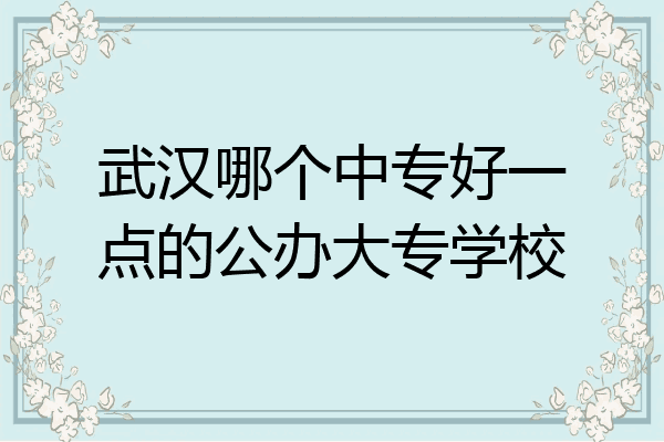 武汉哪个中专好一点的公办大专学校