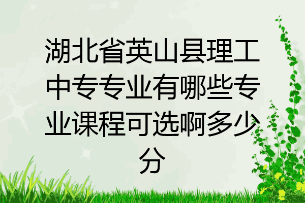 湖北省英山县理工中专专业有哪些专业课程可选啊多少分