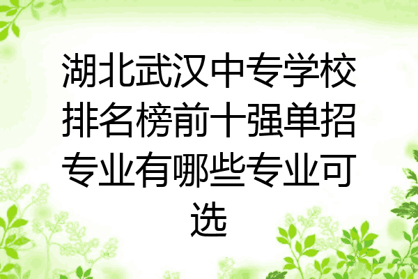 湖北武汉中专学校排名榜前十强单招专业有哪些专业可选