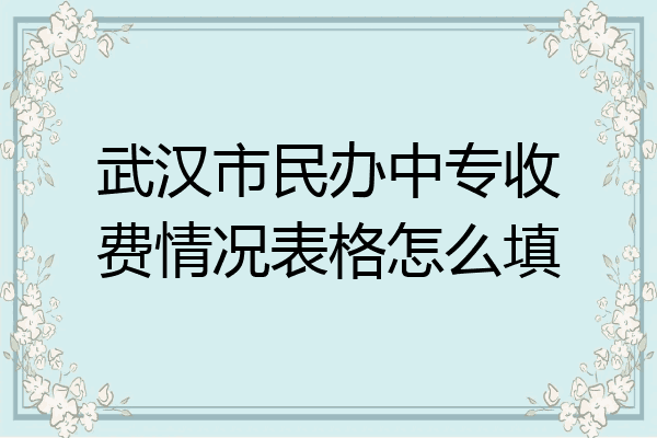 武汉市民办中专收费情况表格怎么填