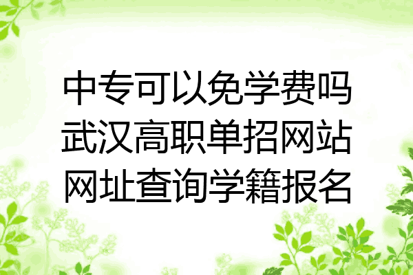中专可以免学费吗武汉高职单招网站网址查询学籍报名
