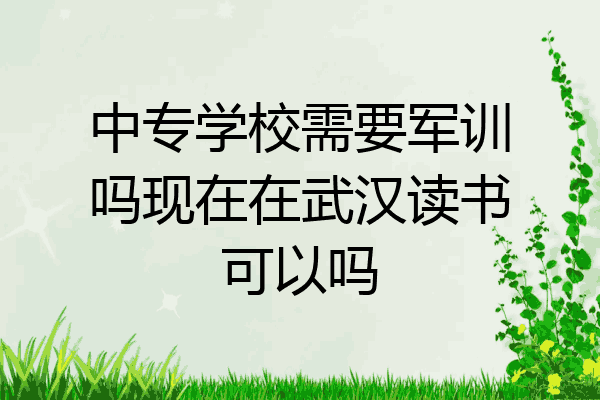 中专学校需要军训吗现在在武汉读书可以吗