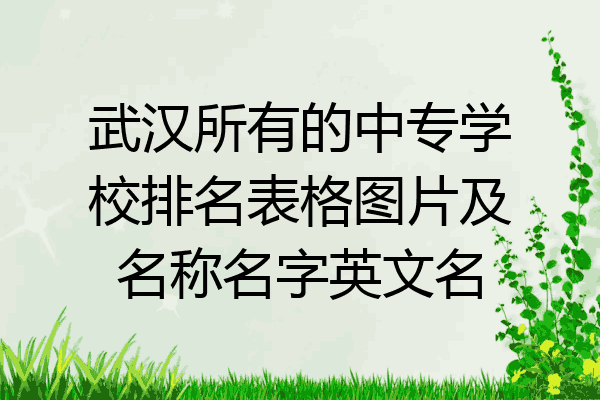 武汉所有的中专学校排名表格图片及名称名字英文名
