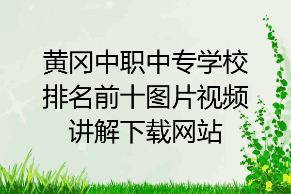 黄冈中职中专学校排名前十图片视频讲解下载网站