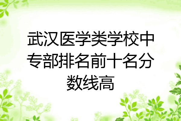 武汉医学类学校中专部排名前十名分数线高