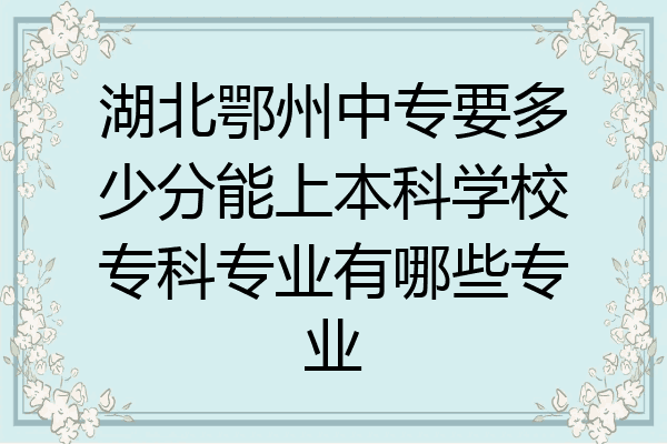 湖北鄂州中专要多少分能上本科学校专科专业有哪些专业