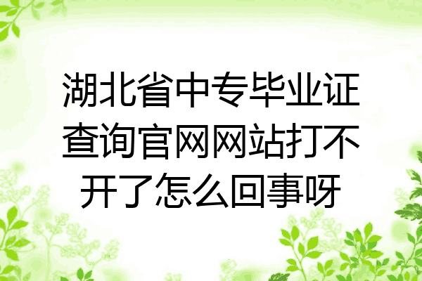 湖北省中专毕业证查询官网网站打不开了怎么回事呀