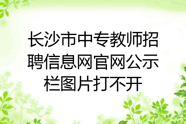 长沙市中专教师招聘信息网官网公示栏图片打不开