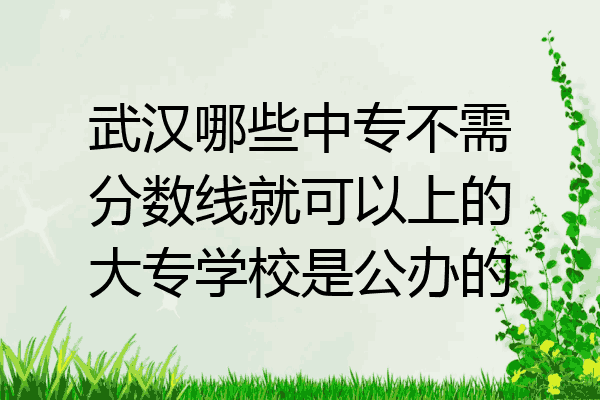 武汉哪些中专不需分数线就可以上的大专学校是公办的