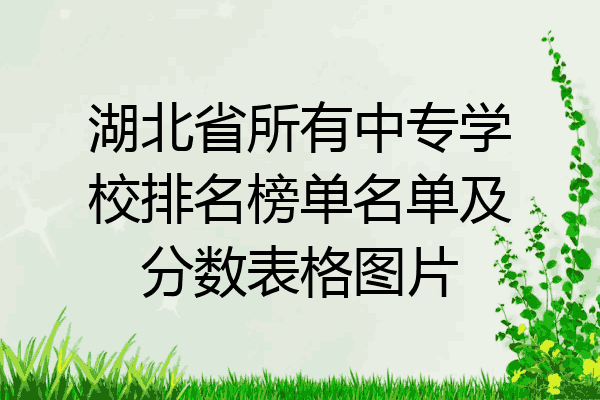 湖北省所有中专学校排名榜单名单及分数表格图片