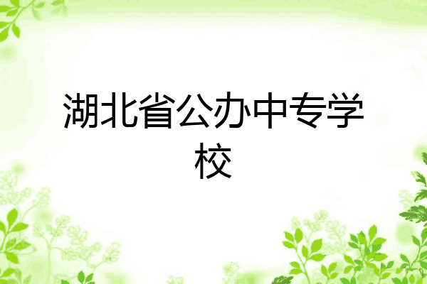 湖北省公办中专学校