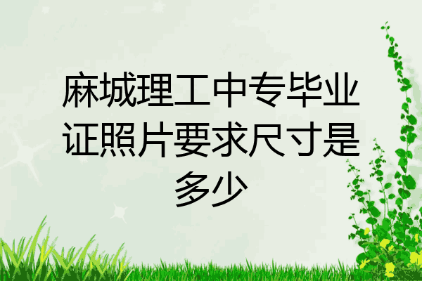 麻城理工中专毕业证照片要求尺寸是多少