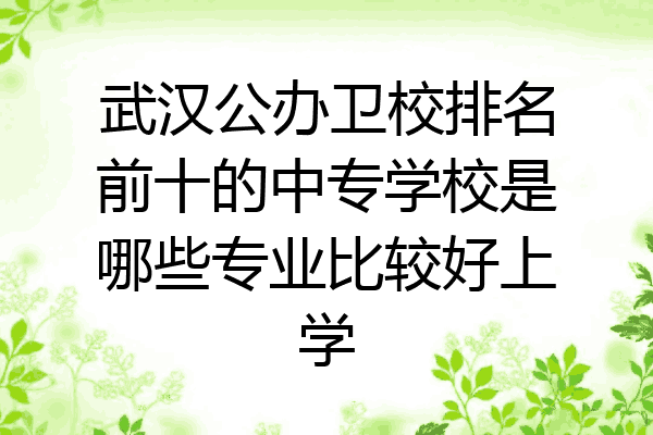 武汉公办卫校排名前十的中专学校是哪些专业比较好上学