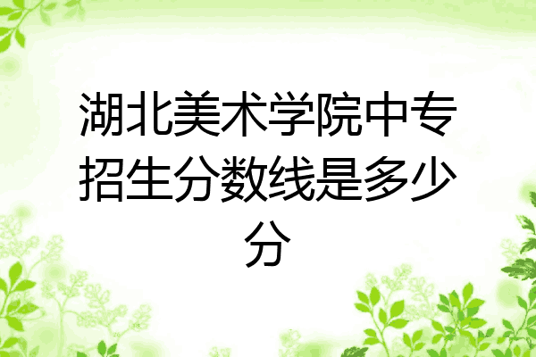 湖北美术学院中专招生分数线是多少分