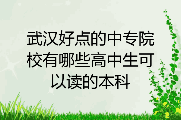 武汉好点的中专院校有哪些高中生可以读的本科