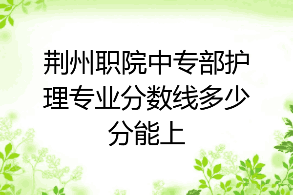 荆州职院中专部护理专业分数线多少分能上