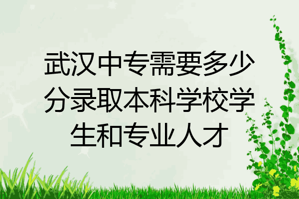武汉中专需要多少分录取本科学校学生和专业人才