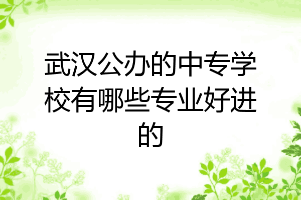 武汉公办的中专学校有哪些专业好进的